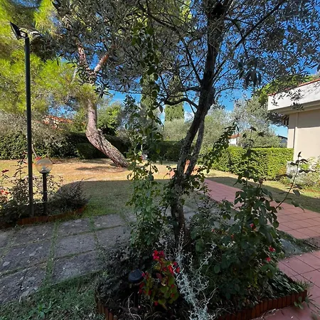 Poggio Golf Chianti Firenze Aparthotel